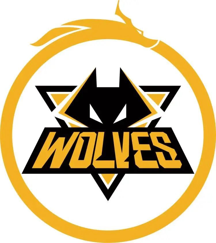 功能剪裁 功能剪裁